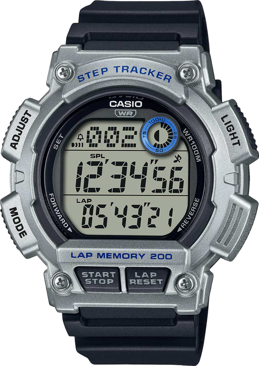  часы CASIO Collection WS-2100H-1A2